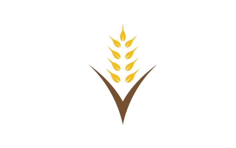 高品質の健康的な主食